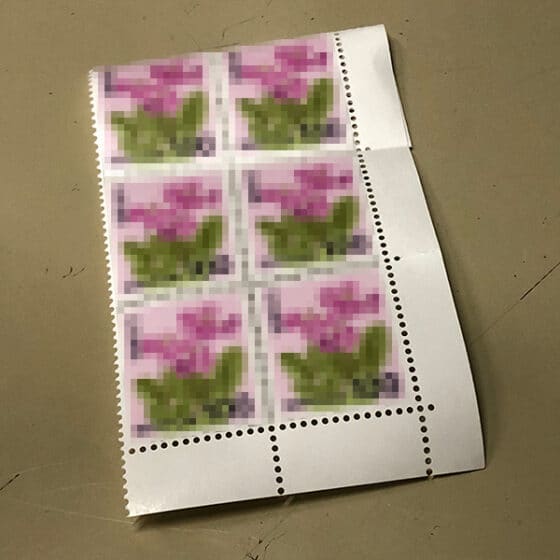 切手は必ず糊で貼ってます。舐めてから貼ることはしてません！